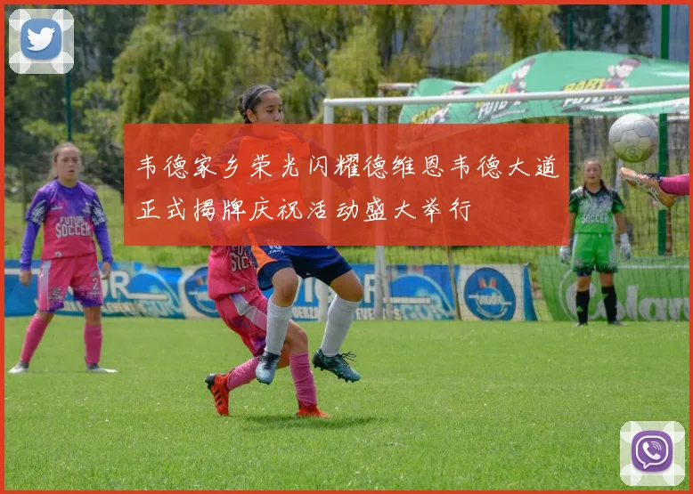 韦德家乡荣光闪耀德维恩韦德大道正式揭牌庆祝活动盛大举行